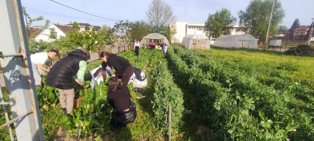 Наши агротехничари